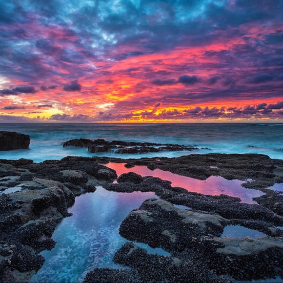 Meet your Posher, Savannah - Picture 1 of 1